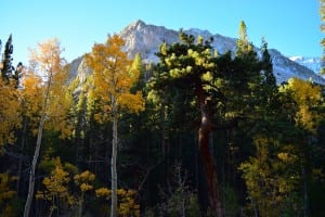 big_pine_lakes_oct_2015__0x482c8f5