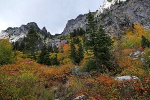 grand_tetons_sept_2016_p1020895